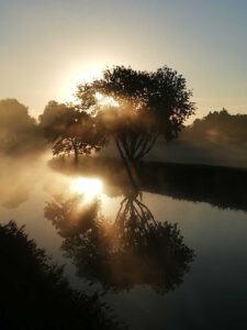 Gouden ochtend