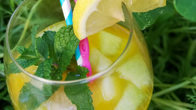 Verkoelende meloen sinaasappel cocktail Verkoelende meloen sinaasappel cocktail