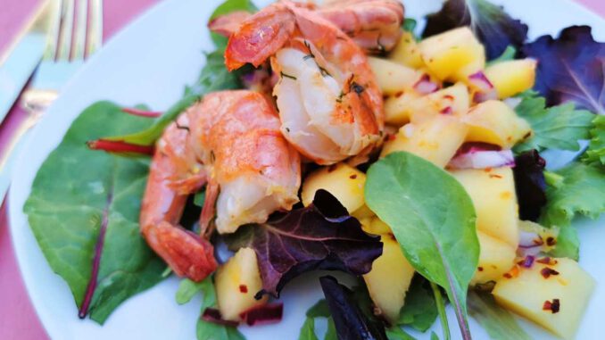 Garnalen met mango salade